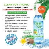 Очищающий спрей для игрушек CLEAR TOY Tropic - 100 мл. - Биоритм - купить с доставкой в Ставрополе