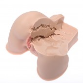 Мастурбатор-полуторс Naked Factory Kate - Naked Factory - в Ставрополе купить с доставкой