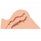 Мастурбатор-полуторс Naked Factory Hannah - Naked Factory - в Ставрополе купить с доставкой