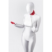 Красный ошейник с подкладкой из меха - ToyFa - купить с доставкой в Ставрополе