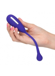 Фиолетовый шарик с электростимуляцией и вибрацией Intimate E-Stimulator Remote Kegel Exerciser - California Exotic Novelties - купить с доставкой в Ставрополе