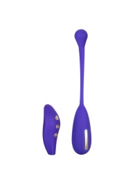 Фиолетовый шарик с электростимуляцией и вибрацией Intimate E-Stimulator Remote Kegel Exerciser - California Exotic Novelties - купить с доставкой в Ставрополе