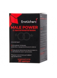 Капсулы для мужчин Erotichard male power с пантогематогеном - 20 капсул (0,370 гр.) - Erotic Hard - купить с доставкой в Ставрополе