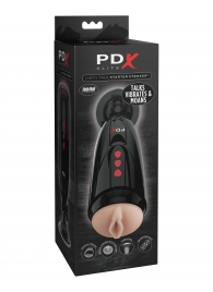 Мастурбатор-вагина с вибрацией Dirty Talk Starter Stroker - Pipedream - в Ставрополе купить с доставкой