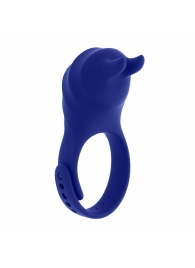 Синее эрекционное виброкольцо с клиторальной подушечкой и пультом ДУ Adjustable Fun Ring - Zero Tolerance - в Ставрополе купить с доставкой