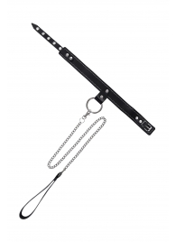 Черный узкий однослойный ошейник с серебристым поводком-цепочкой - Pecado - купить с доставкой в Ставрополе