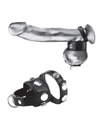 Утяжка для мошонки и пениса Cock Ring With 1  Ball Stretcher And Optional Weight Ring - BlueLine - купить с доставкой в Ставрополе