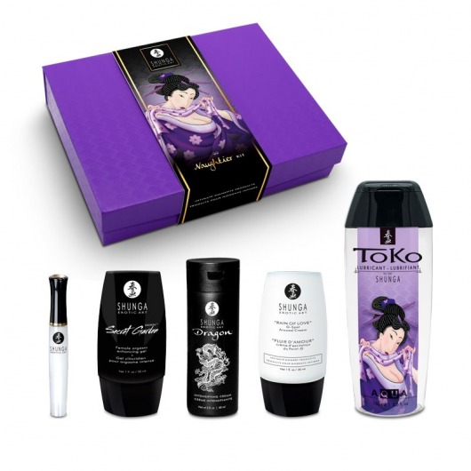 Подарочный набор Naughter Kit - Shunga - купить с доставкой в Ставрополе