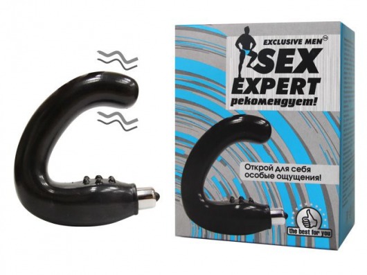 Чёрный массажёр простаты серии Sex Expert - Sex Expert - в Ставрополе купить с доставкой