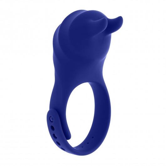 Синее эрекционное виброкольцо с клиторальной подушечкой и пультом ДУ Adjustable Fun Ring - Zero Tolerance - в Ставрополе купить с доставкой