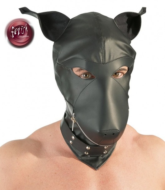 Шлем-маска Dog Mask в виде морды собаки - Orion - купить с доставкой в Ставрополе