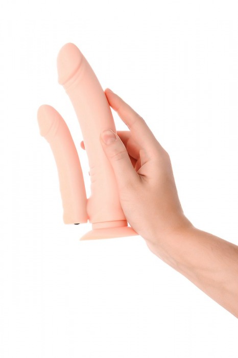 Двойной фаллоимитатор с присоской и съемной вибропулей - 19 см. - A-toys