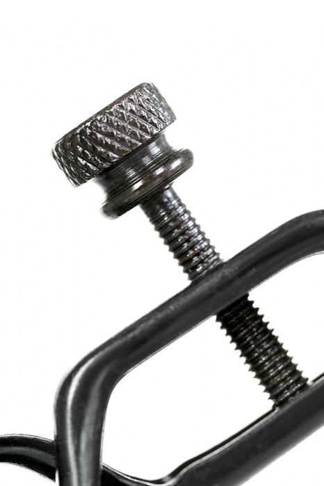 Черно-золотистые зажимы для сосков TOYFA Theatre - ToyFa - купить с доставкой в Ставрополе